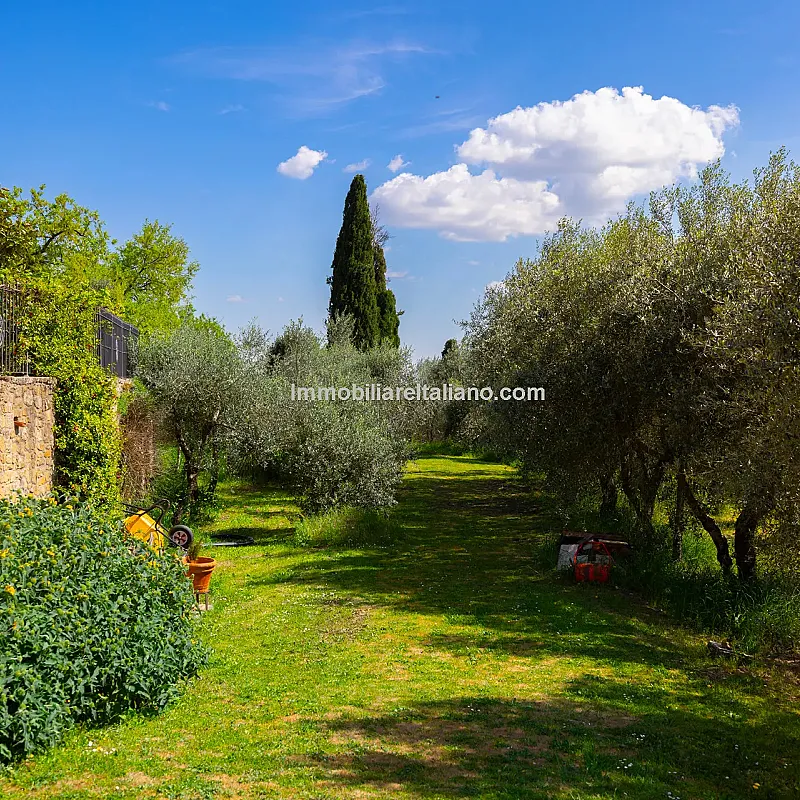 View image 24
