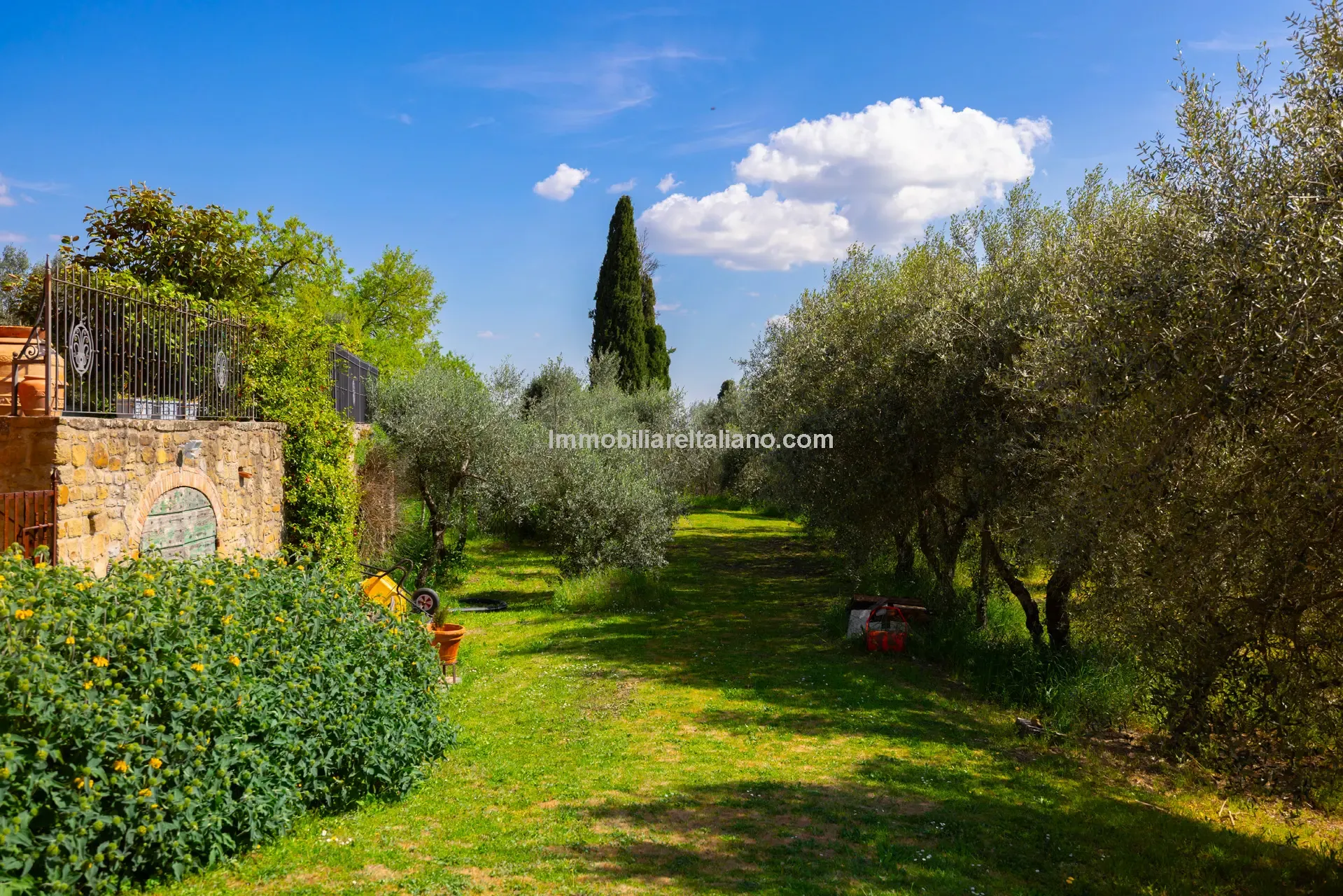 Restored Olive Mill with Garden and Olive Grove in Tuscany's Heartland - View image 24 of 50