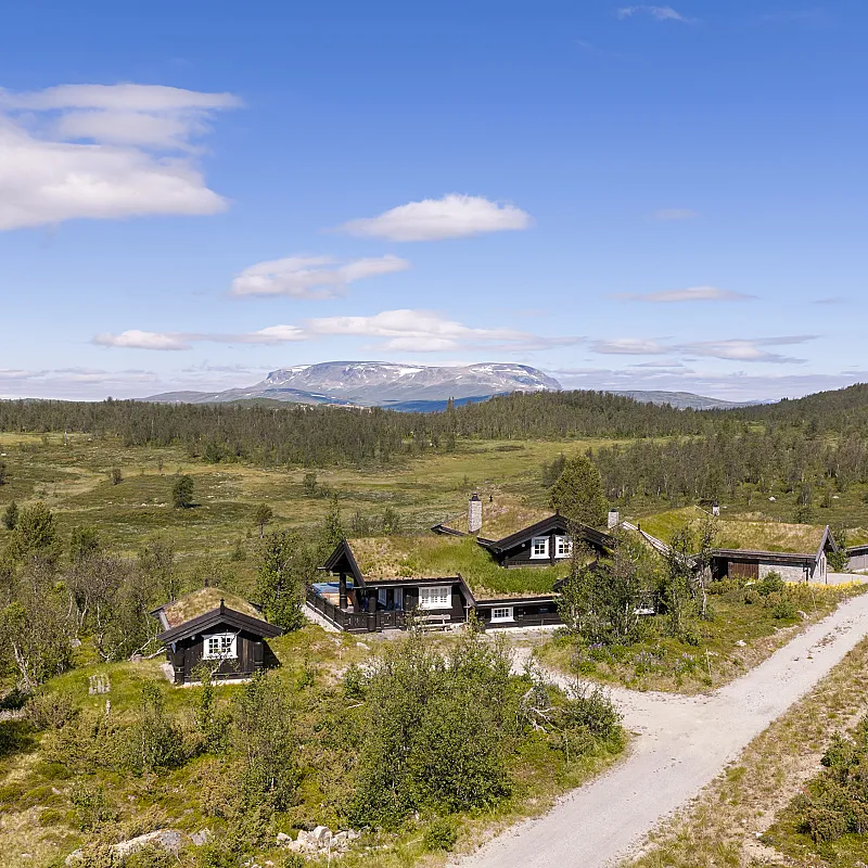 Contemporary 4-Bedroom Cabin in Geilo with Sauna and Scenic Terrace