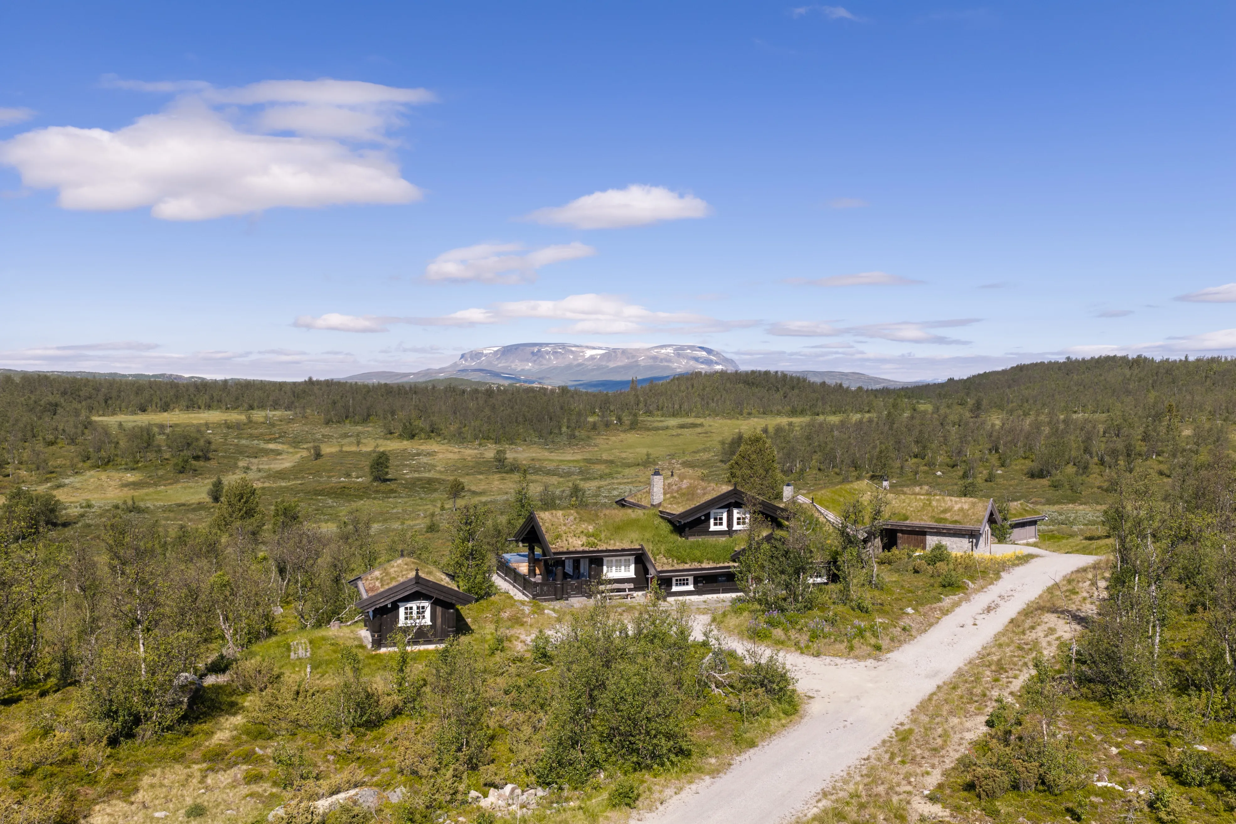 Contemporary 4-Bedroom Cabin in Geilo with Sauna and Scenic Terrace - Image 1