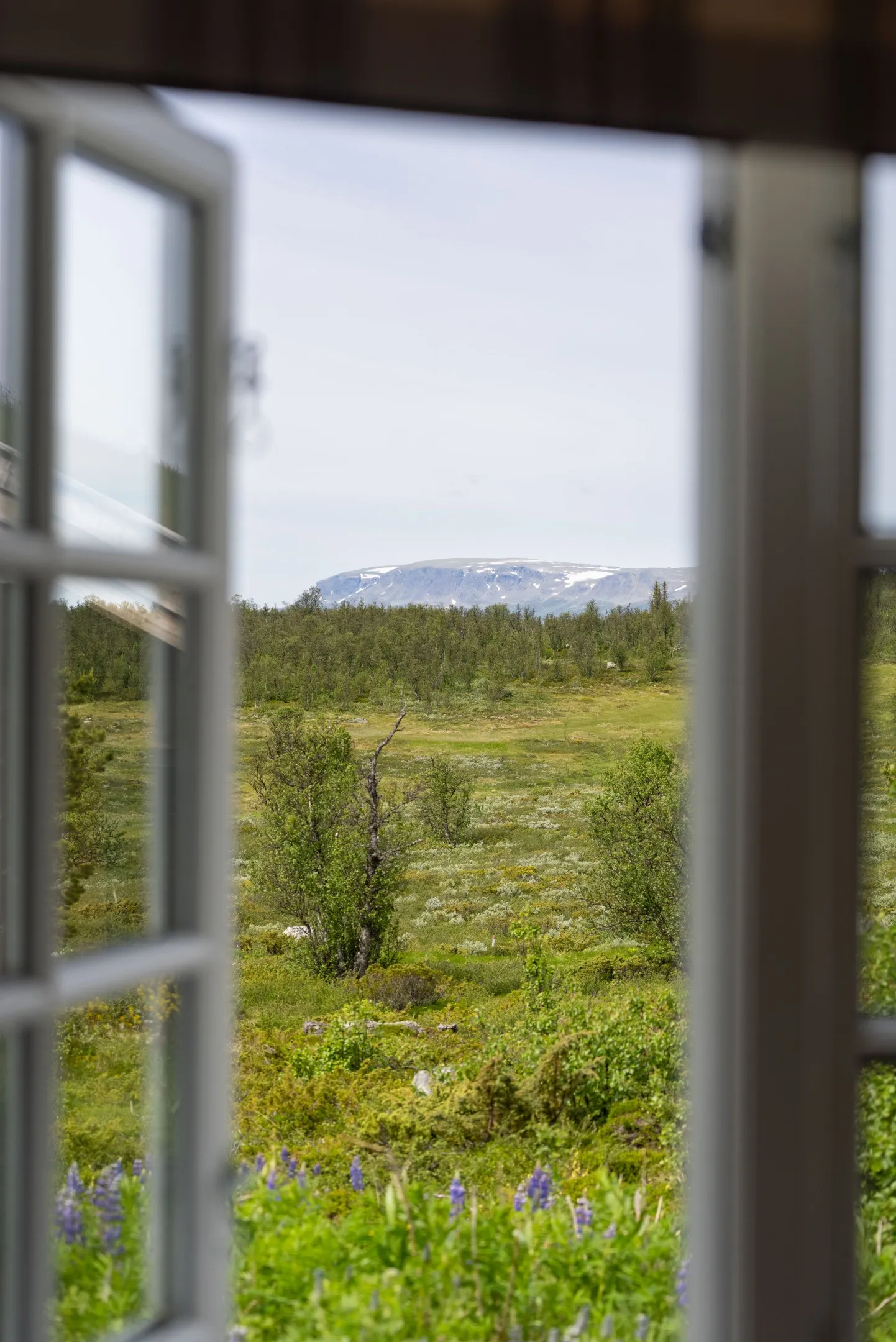 Contemporary 4-Bedroom Cabin in Geilo with Sauna and Scenic Terrace - View image 10 of 41
