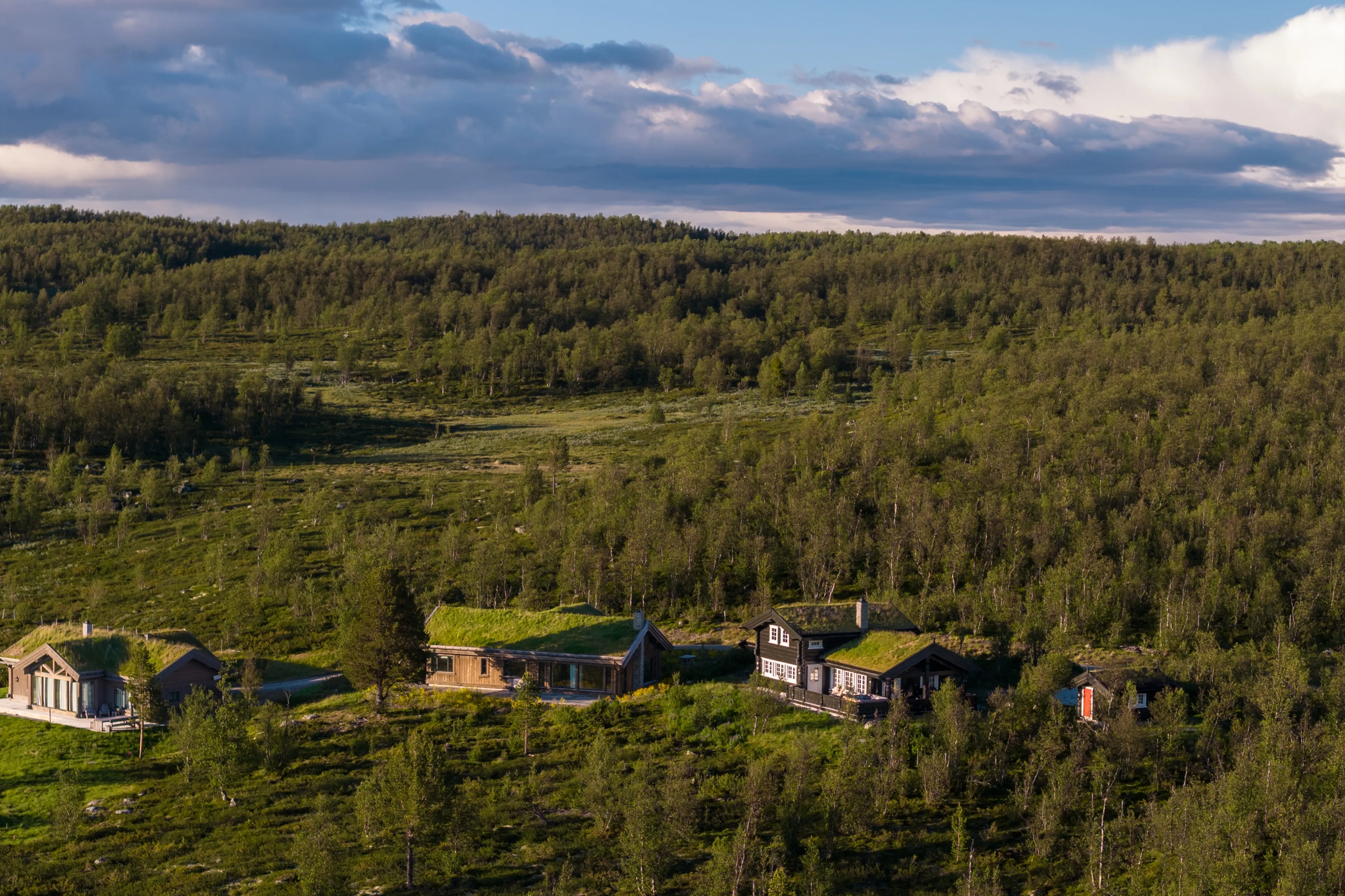 Contemporary 4-Bedroom Cabin in Geilo with Sauna and Scenic Terrace - View image 39 of 41
