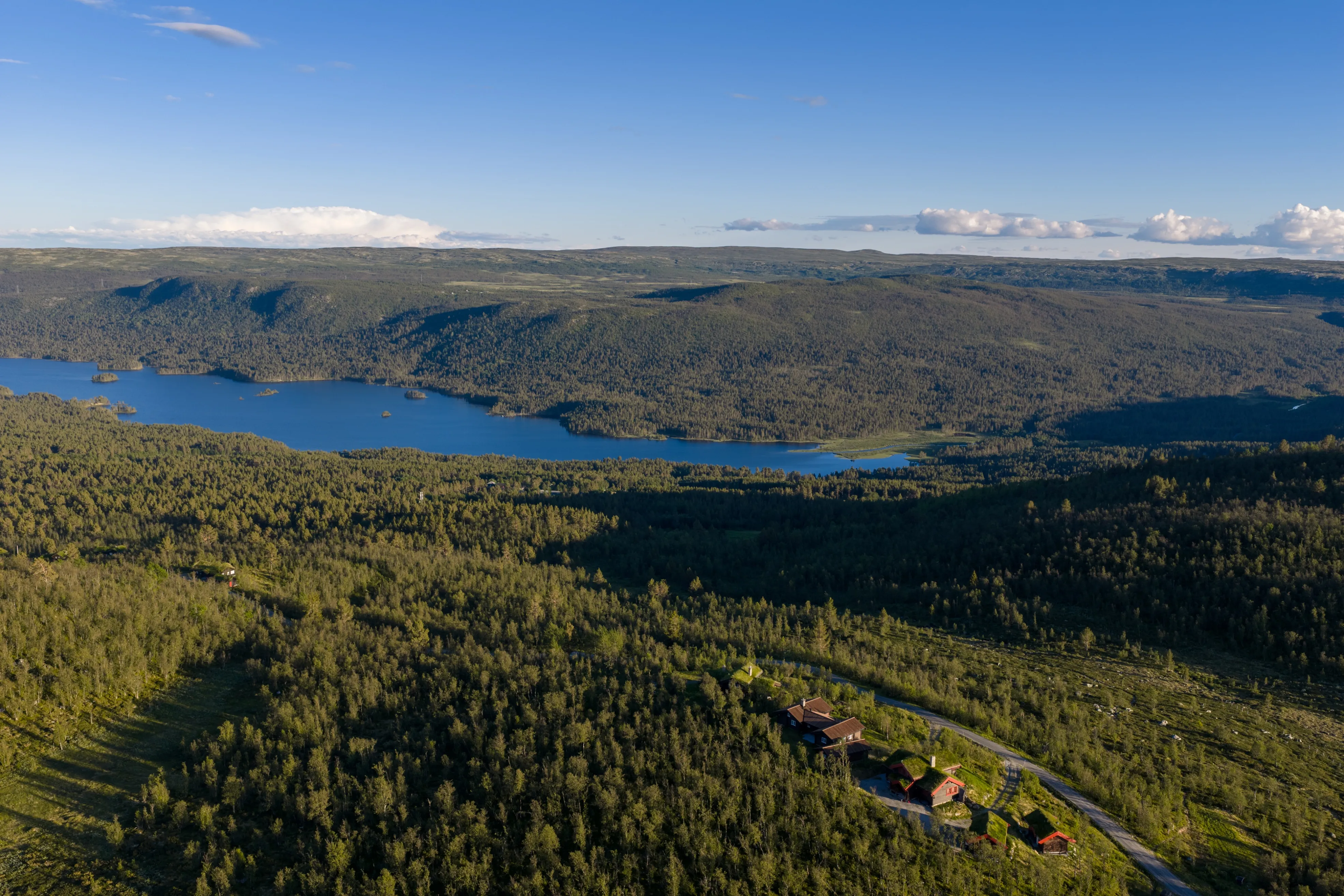 Contemporary 4-Bedroom Cabin in Geilo with Sauna and Scenic Terrace - View image 40 of 41