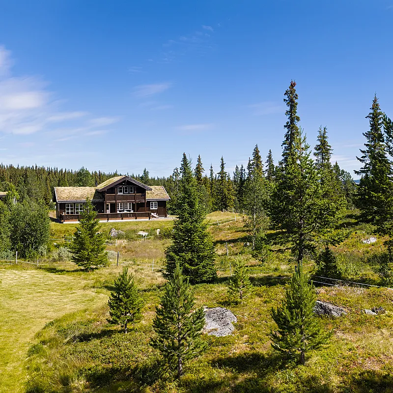 View image 35