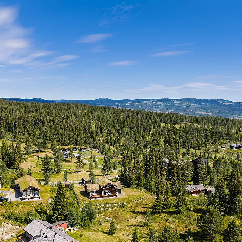 View image 50