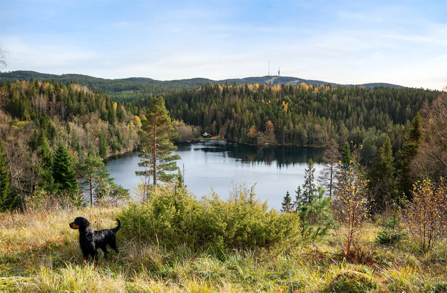 1920s Oslo Cabin Overlooking Blankvann with Expansive Grounds - Image 2