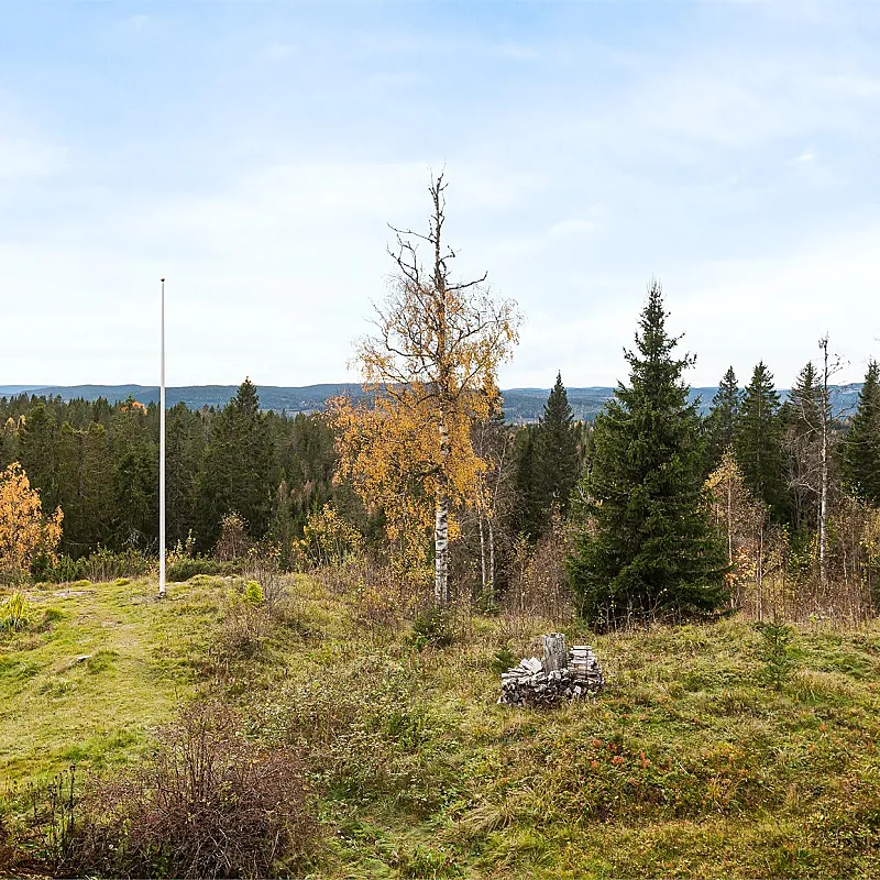 View image 45