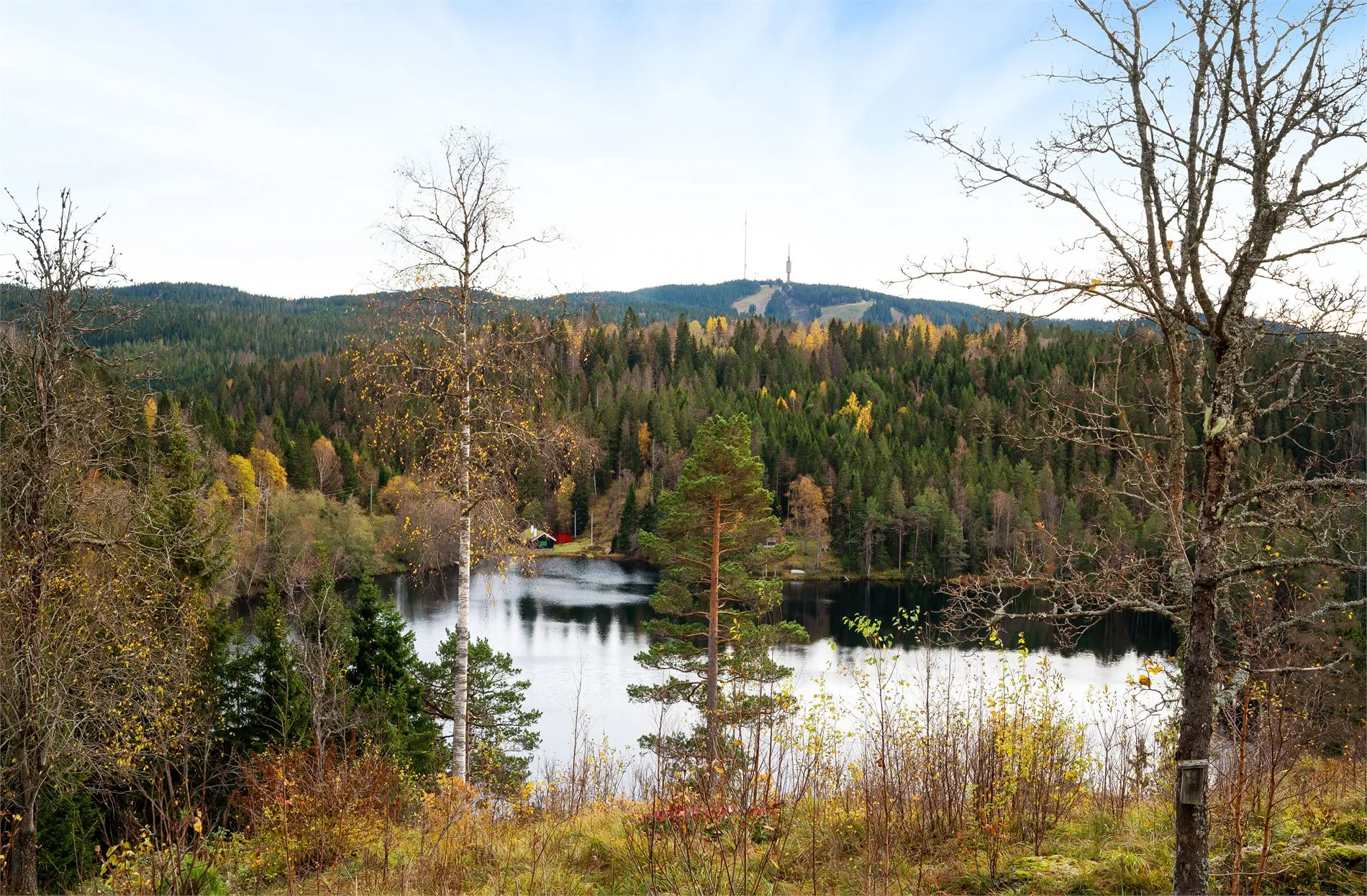 1920s Oslo Cabin Overlooking Blankvann with Expansive Grounds - View image 46 of 50