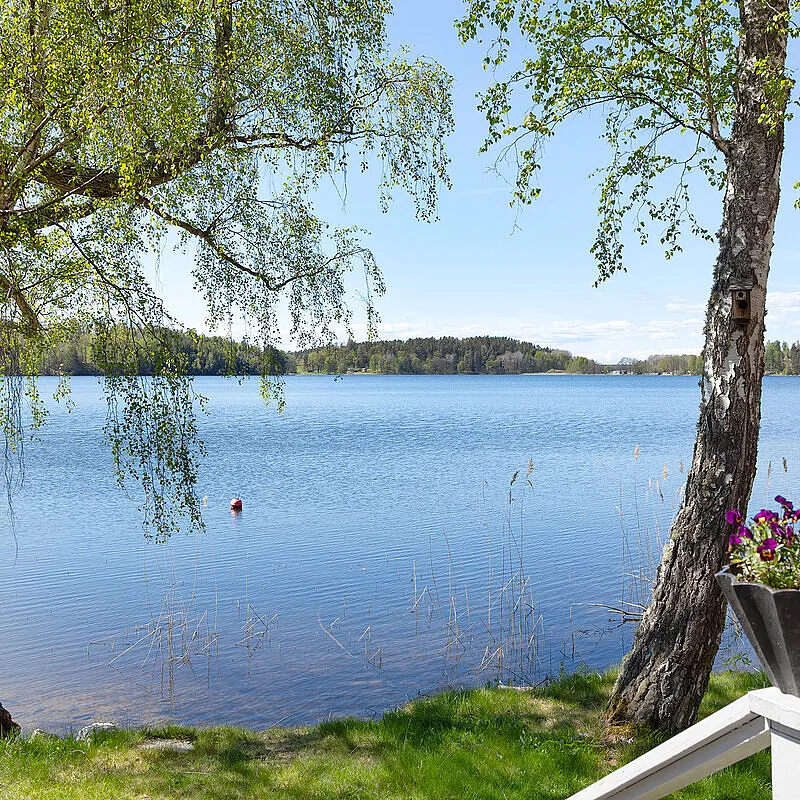View image 52