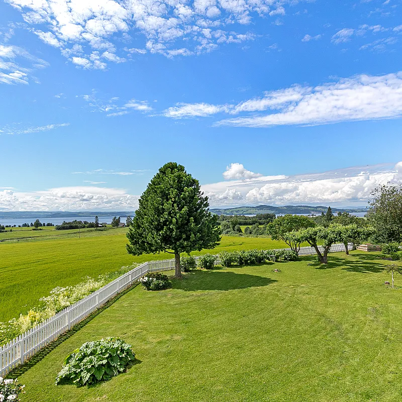 View image 54