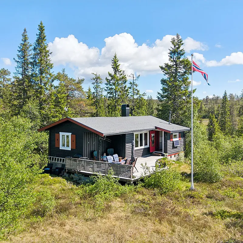 1960s Cabin in Blefjell: 3 Bedrooms, Expansive Terrace, Ski Access