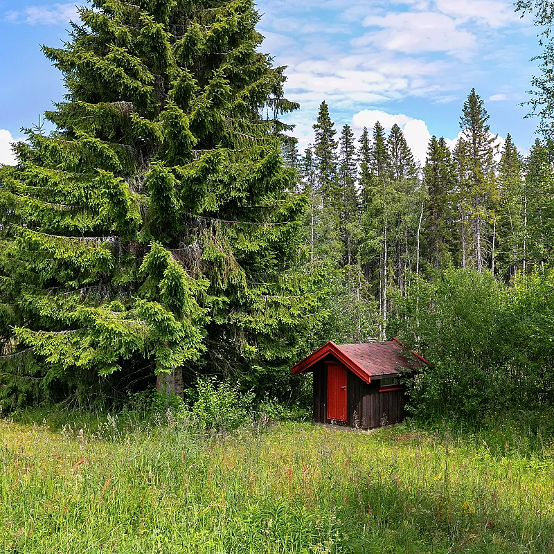 Näytä kuva 40