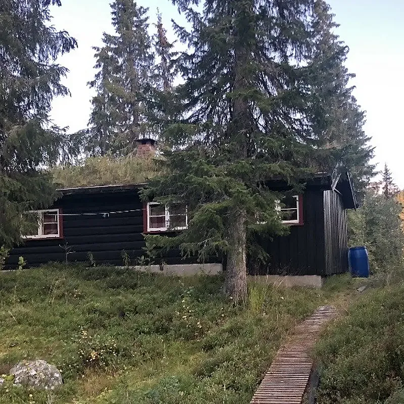 Bild 2 anzeigen
