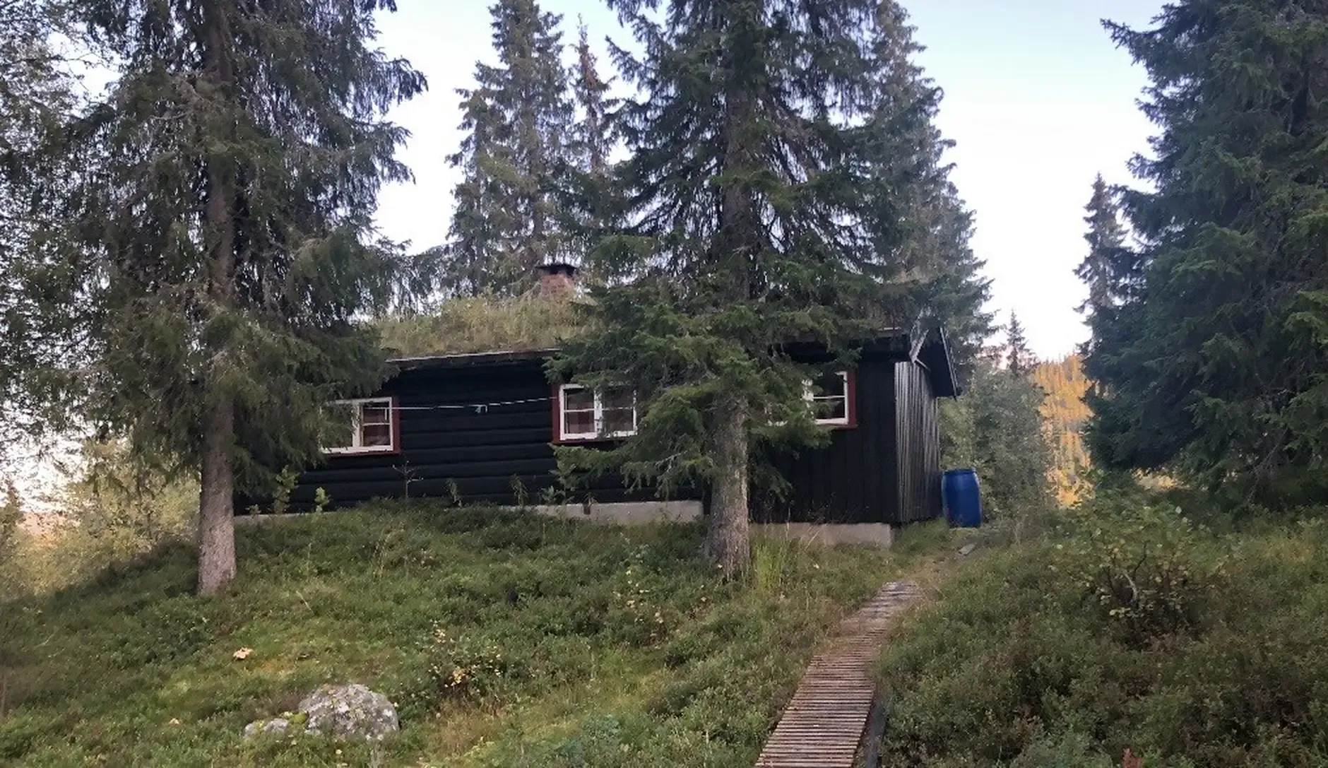 Norwegisches Landhaus aus den 1960er Jahren mit weitläufigem Grundstück in Dalen - Image 2