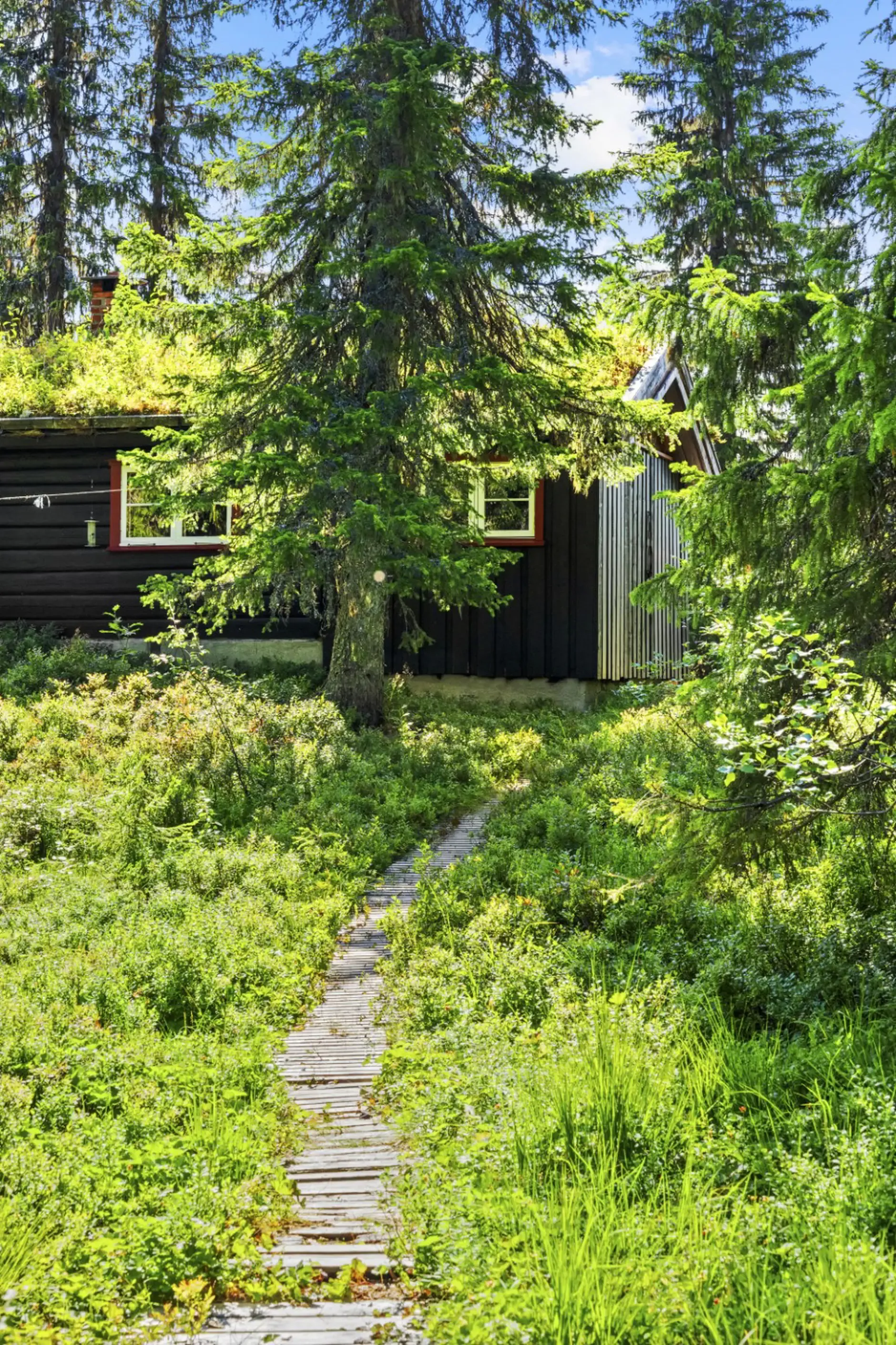 Norwegisches Landhaus aus den 1960er Jahren mit weitläufigem Grundstück in Dalen - Image 4