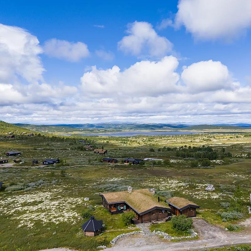 Bild 49 anzeigen