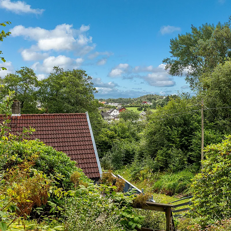 View image 21