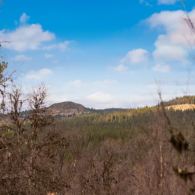 View image 5