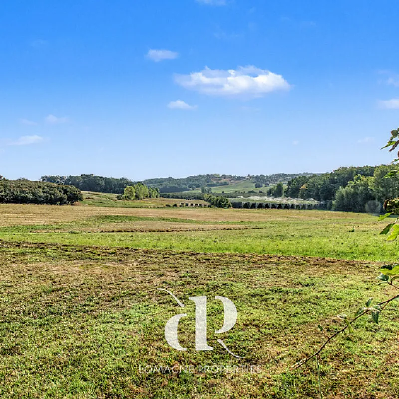 View image 12