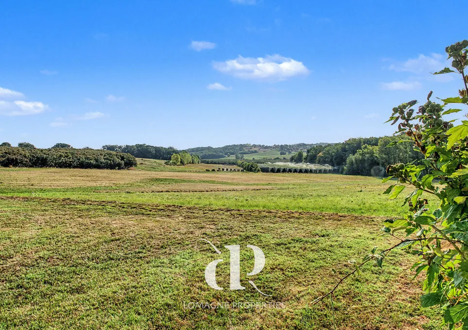 Expansive 4-Bedroom Country House with Pool in Tarn-et-Garonne - View image 12 of 26