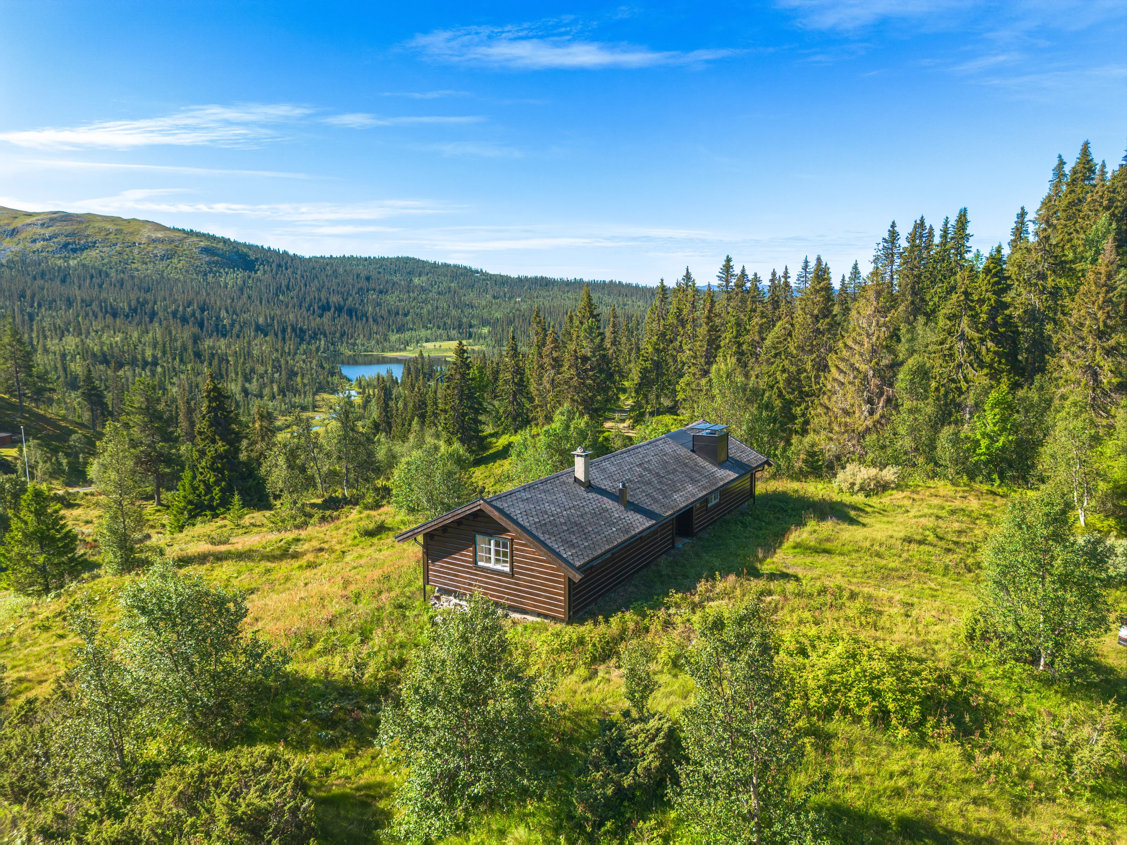 Historic 1800s Cabin in Aurdal with Expansive Garden and Rustic Charm - Image 1