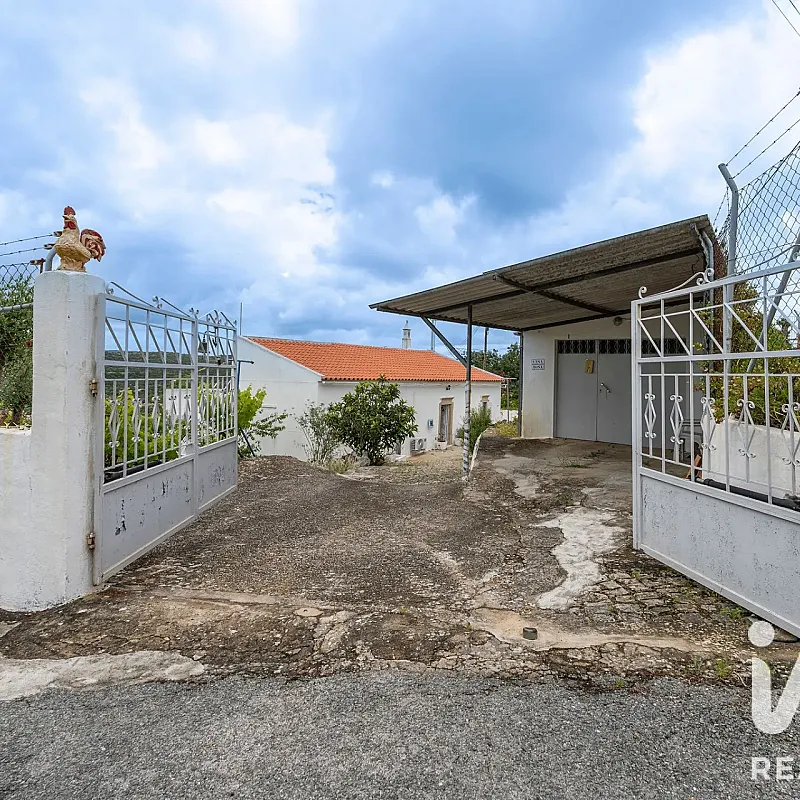 View image 31