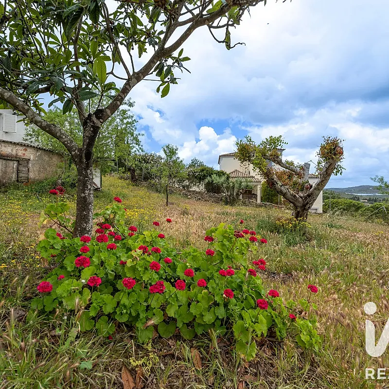 View image 39