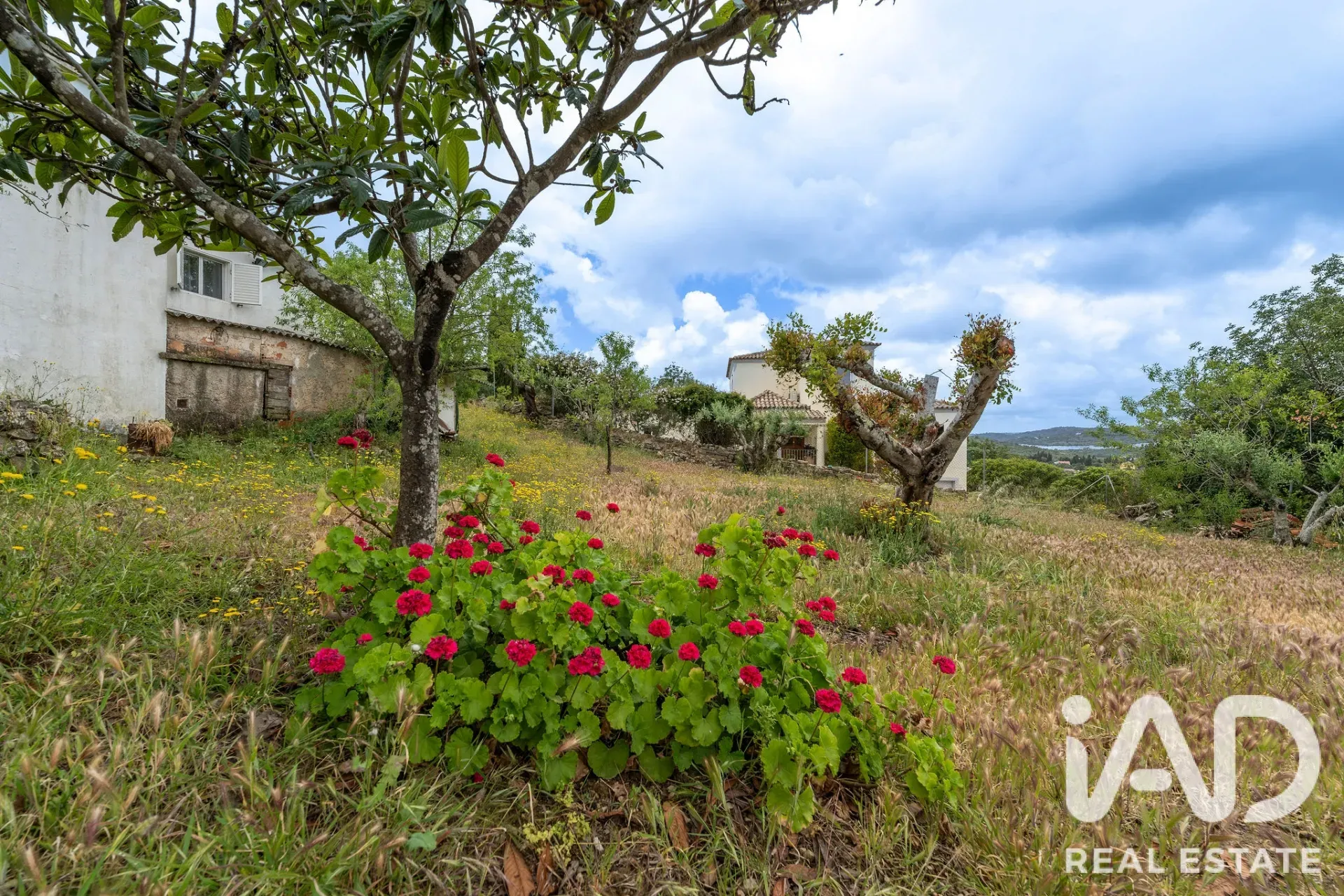 1970s 3-Bedroom House with Garden and Pool in São Brás de Alportel - View image 39 of 40