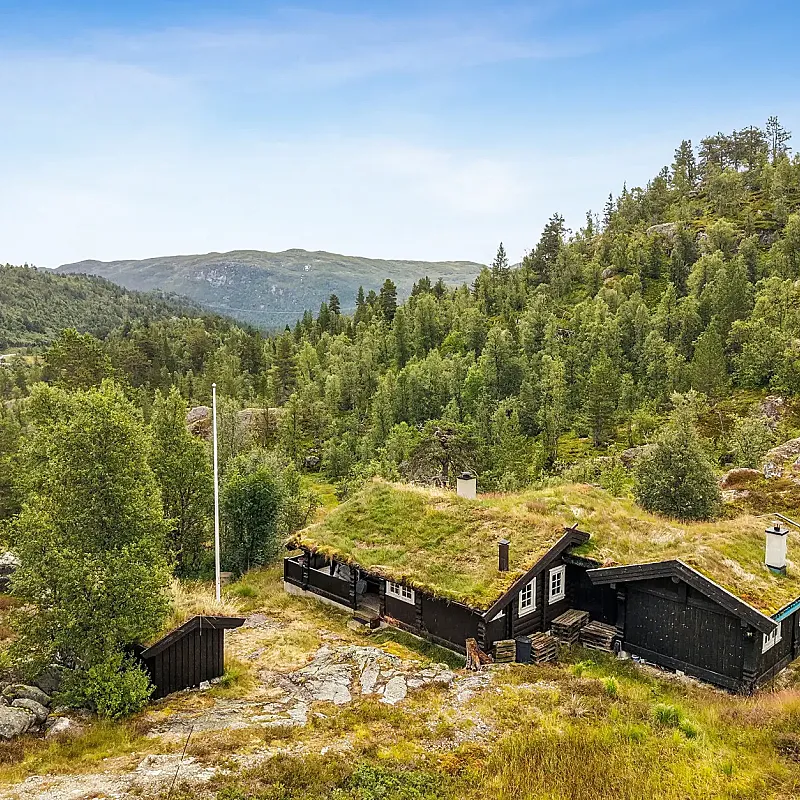 Vinje Cabin Retreat: 4 Bedrooms, Expansive Terrace, and Cosy Fireplaces