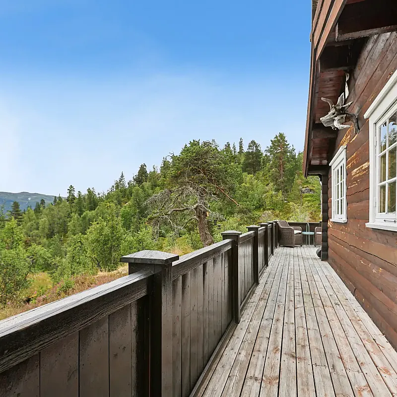 View image 10