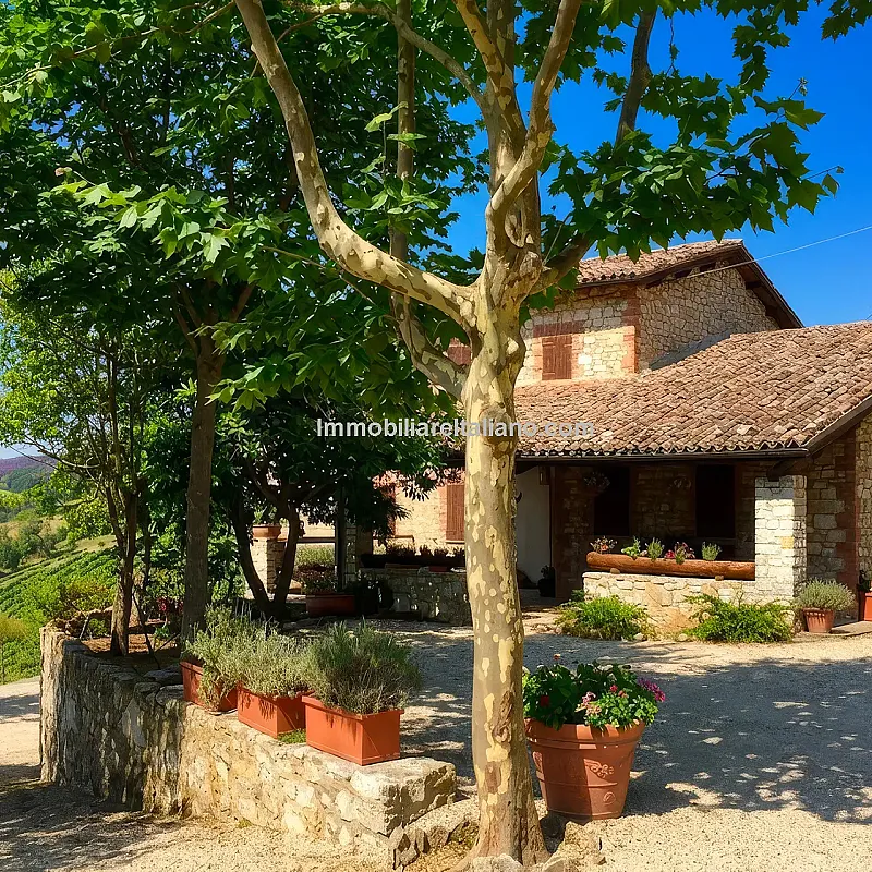 Expansive Farmhouse with Vineyard in Lazio's Scenic Countryside