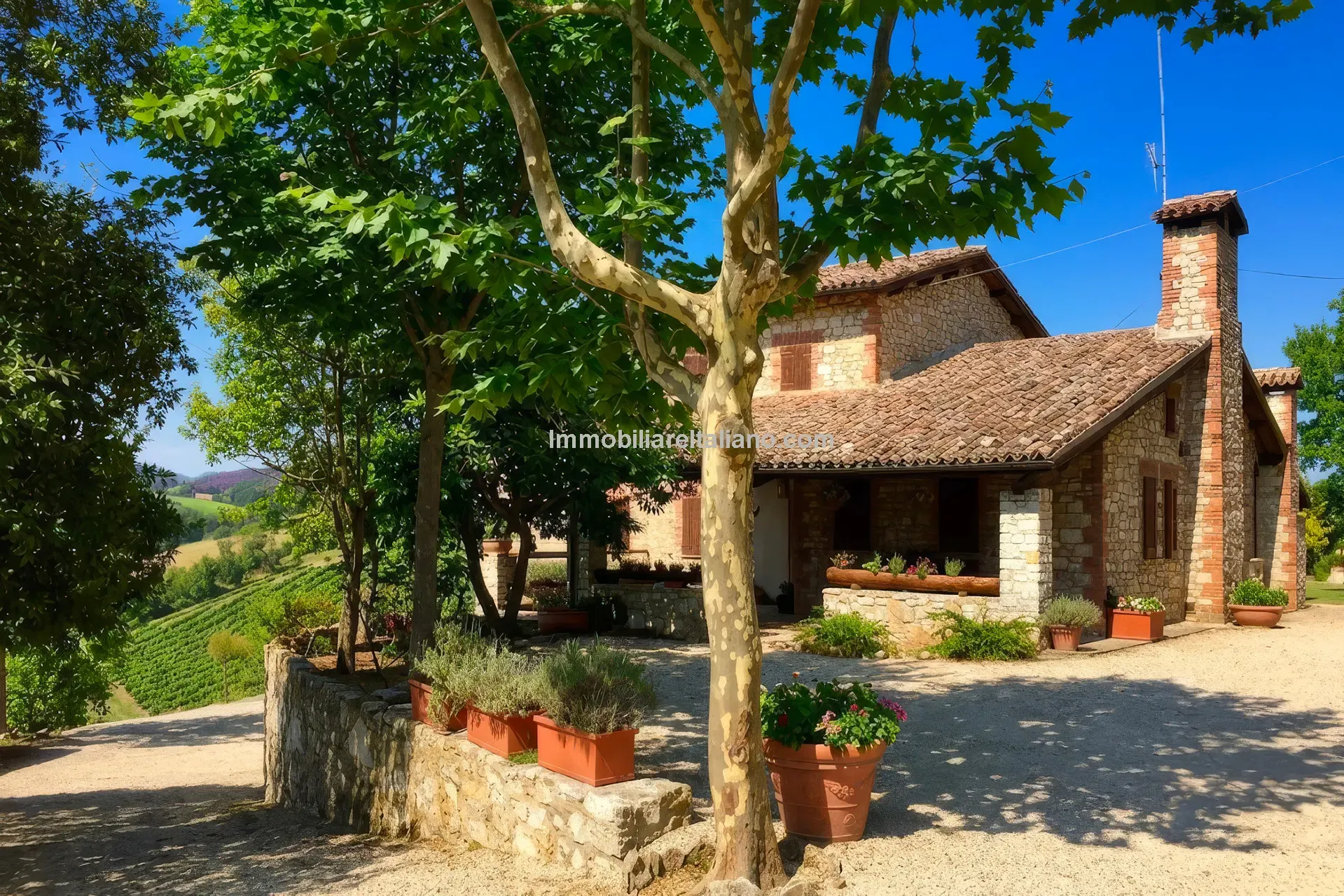 Expansive Farmhouse with Vineyard in Lazio's Scenic Countryside - Image 1