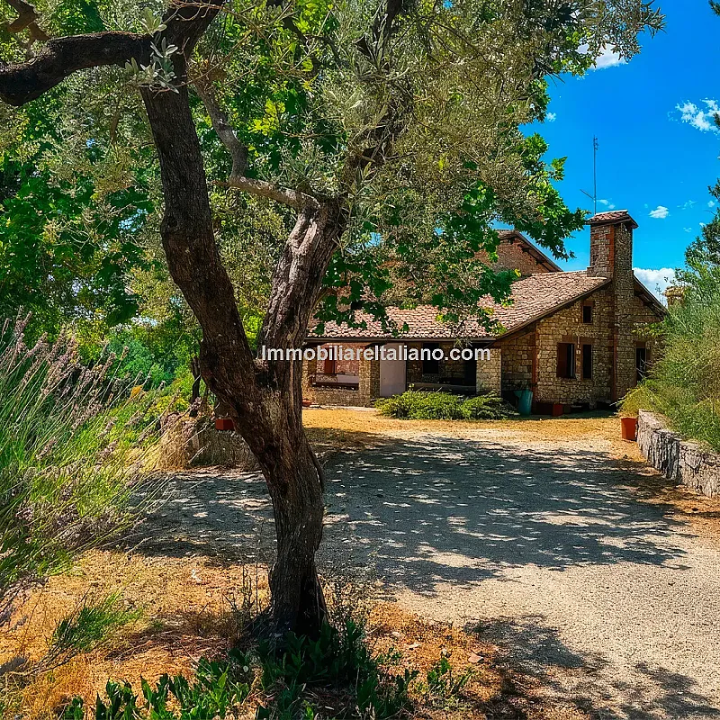 View image 3