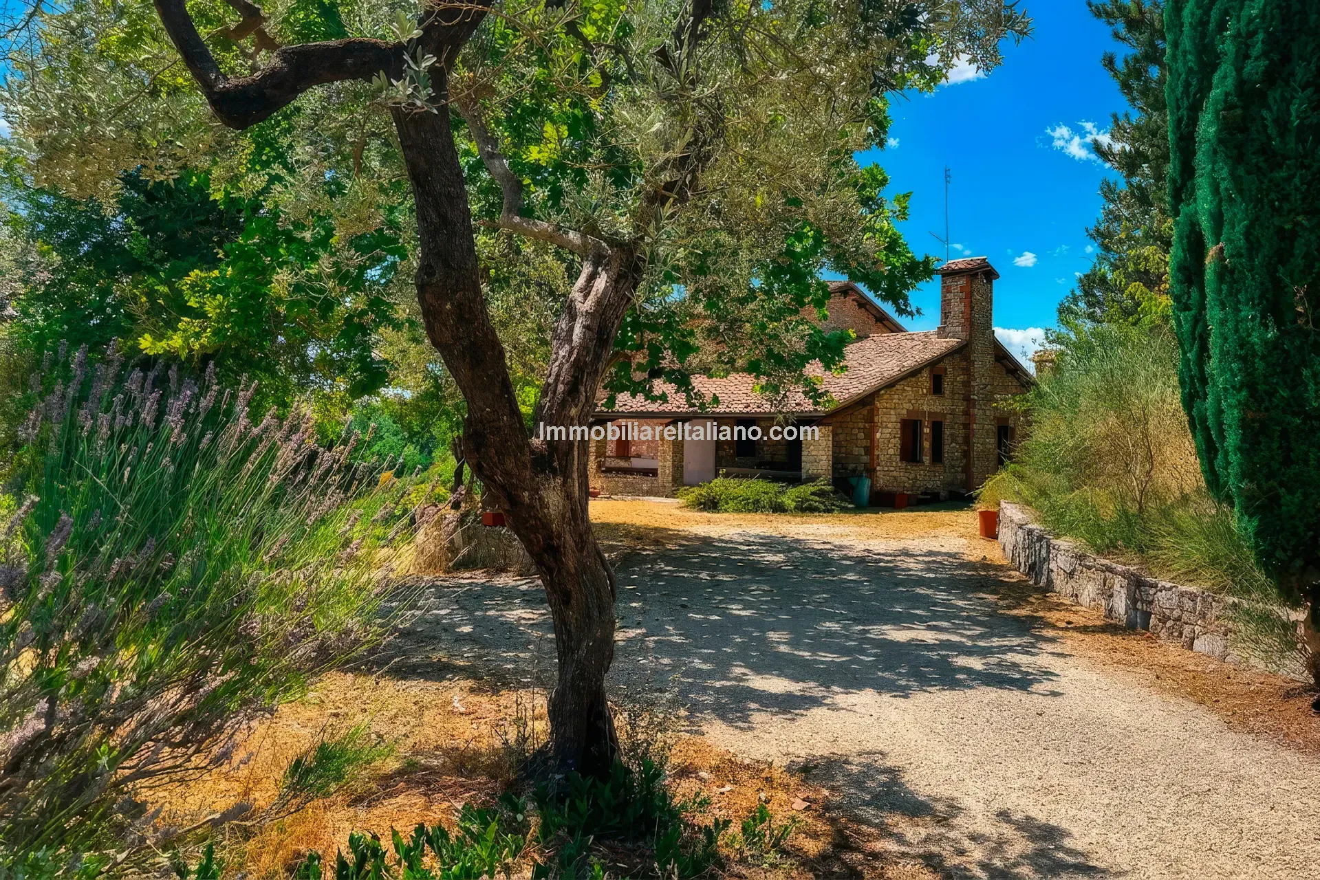 Expansive Farmhouse with Vineyard in Lazio's Scenic Countryside - Image 3