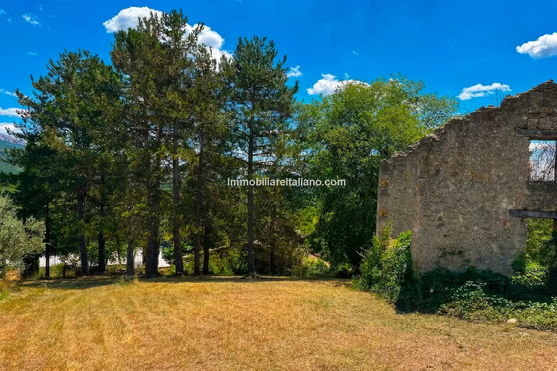 Expansive Farmhouse with Vineyard in Lazio's Scenic Countryside - View image 6 of 42