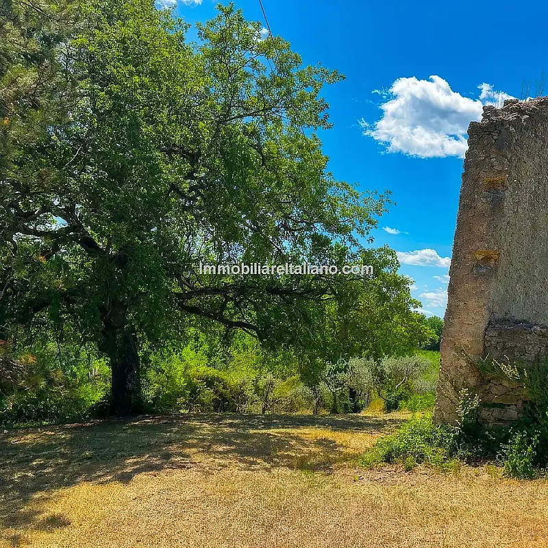 View image 7