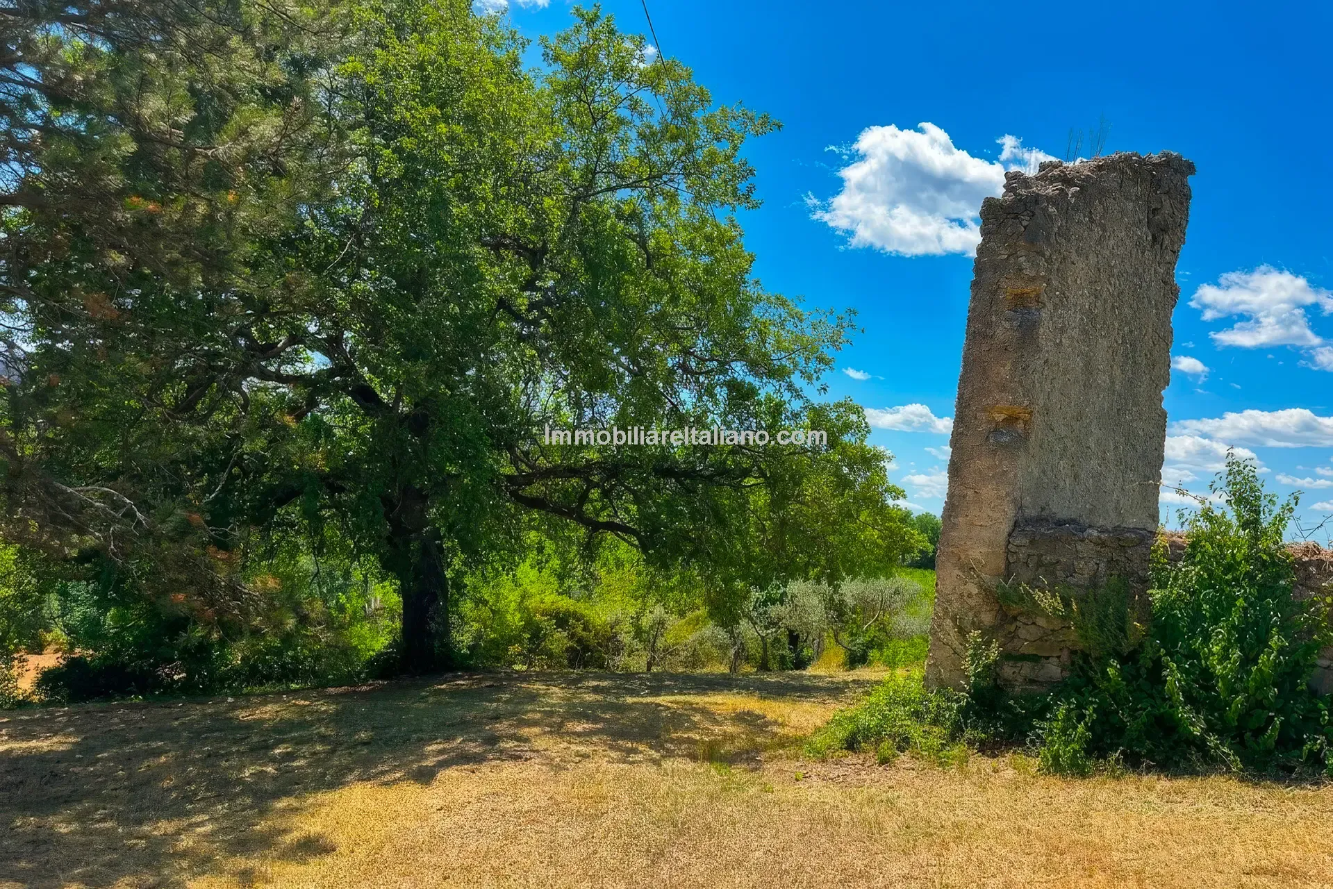 Expansive Farmhouse with Vineyard in Lazio's Scenic Countryside - View image 7 of 42