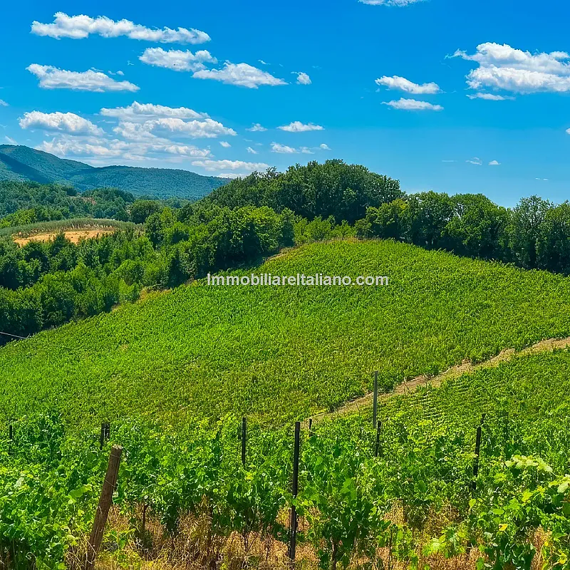 View image 8