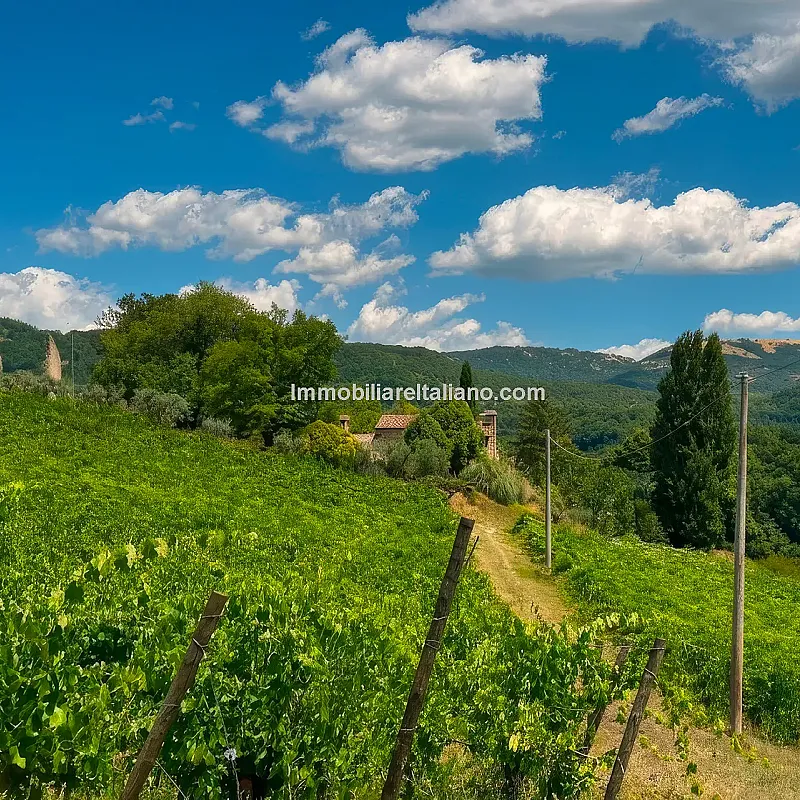 View image 9