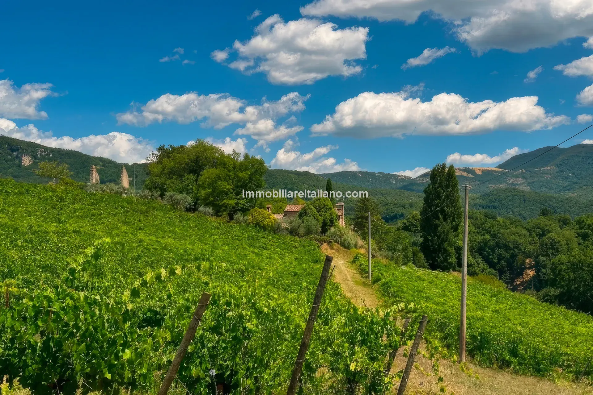 Expansive Farmhouse with Vineyard in Lazio's Scenic Countryside - View image 9 of 42