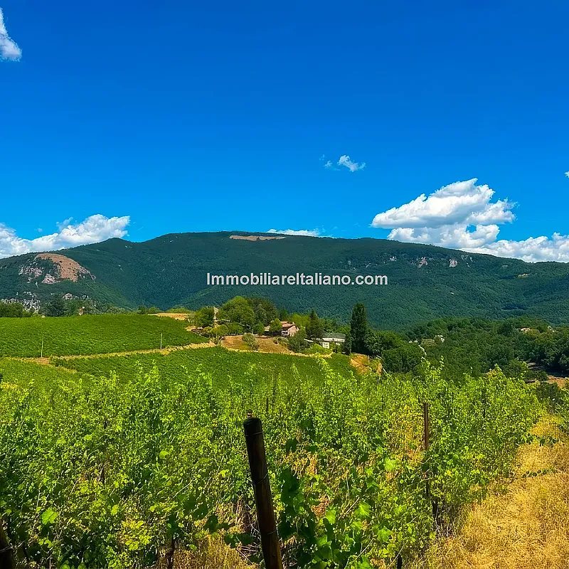 View image 11
