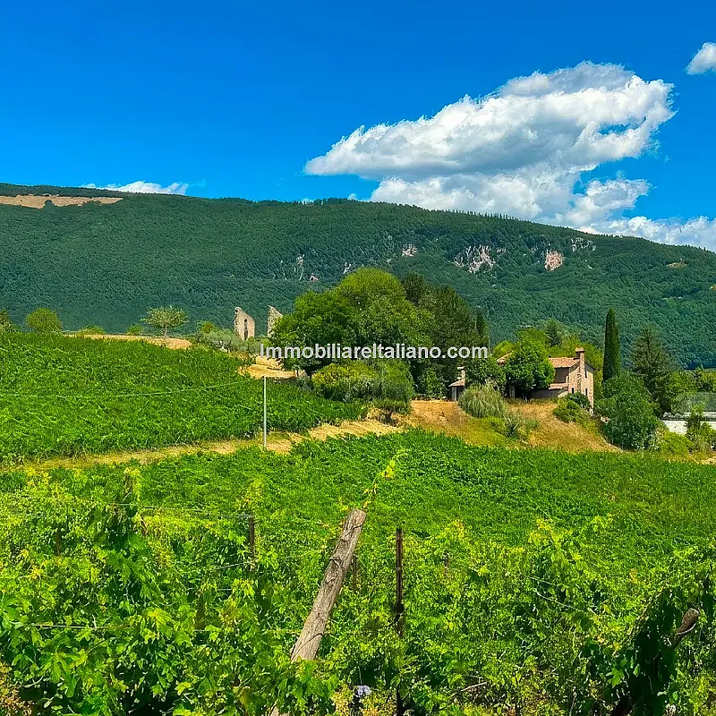 View image 12