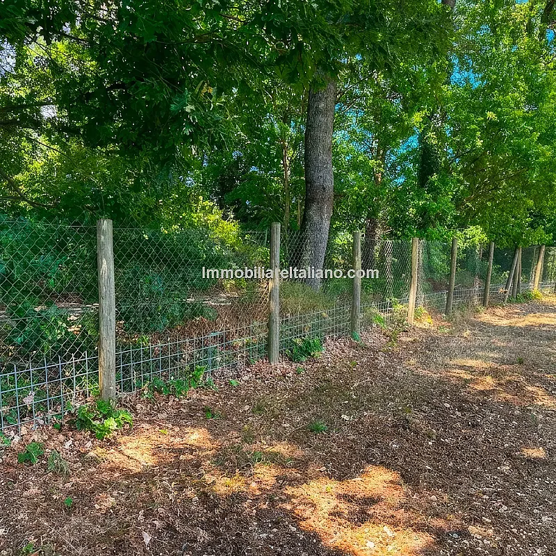 View image 14