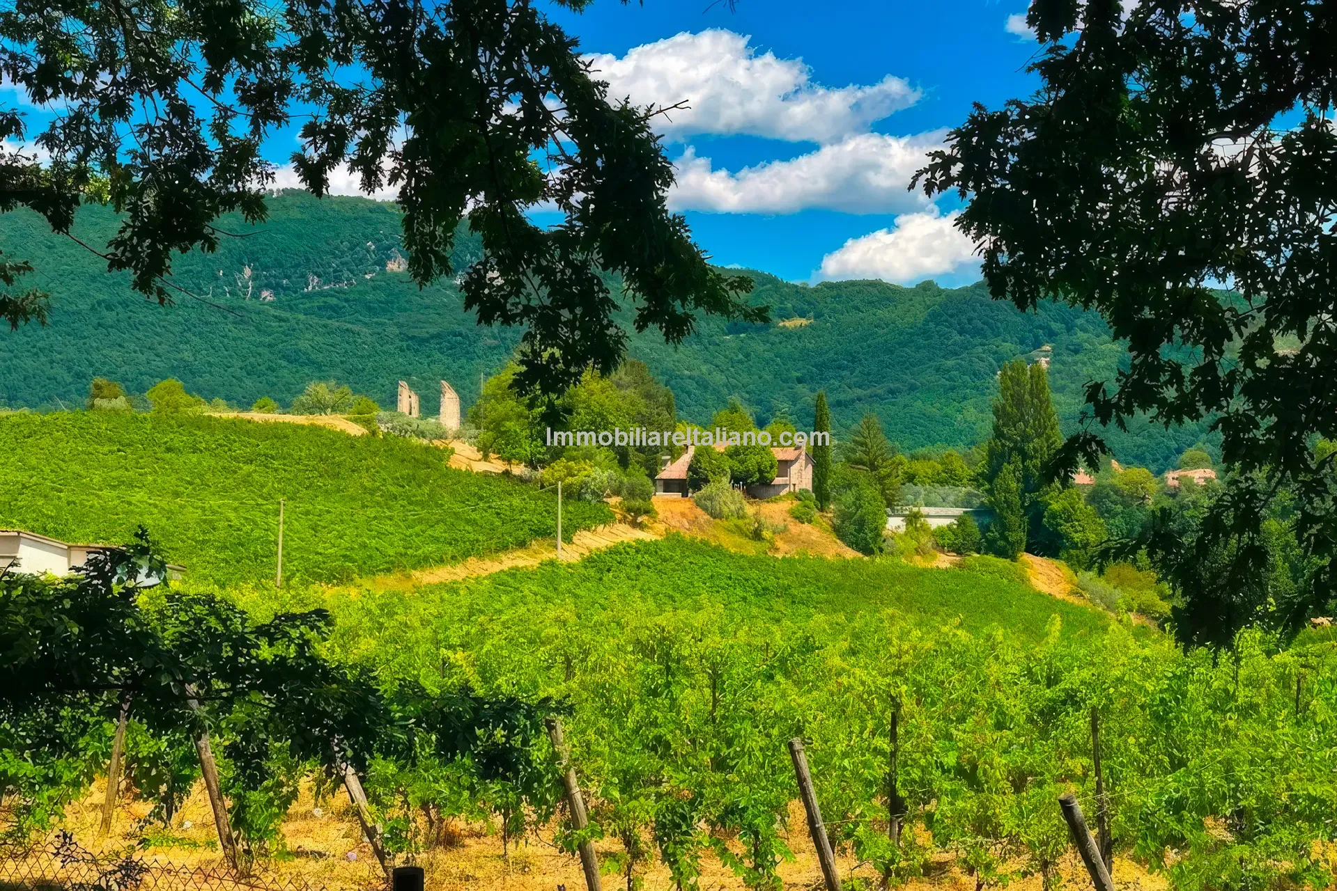 Expansive Farmhouse with Vineyard in Lazio's Scenic Countryside - View image 15 of 42