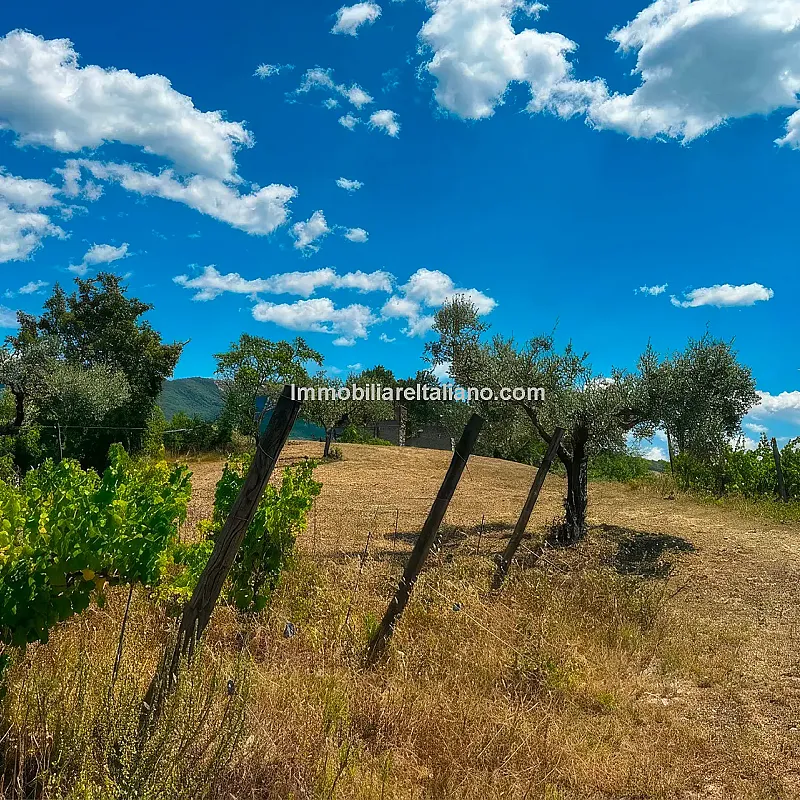 View image 16