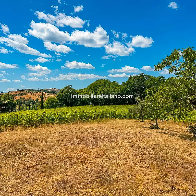 View image 17