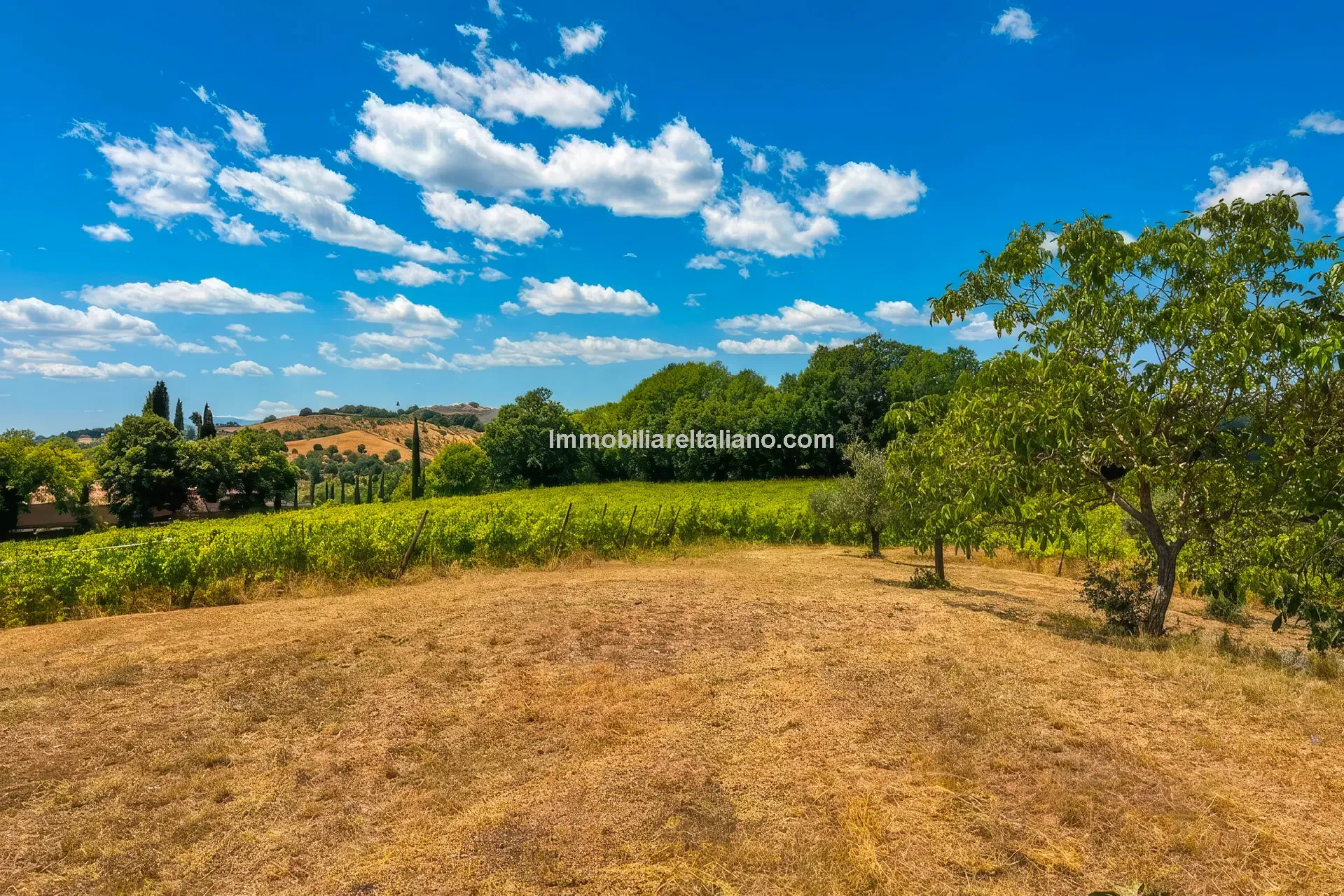 Expansive Farmhouse with Vineyard in Lazio's Scenic Countryside - View image 17 of 42