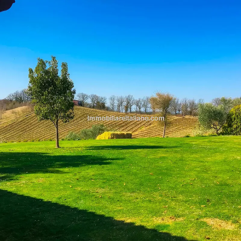 View image 18