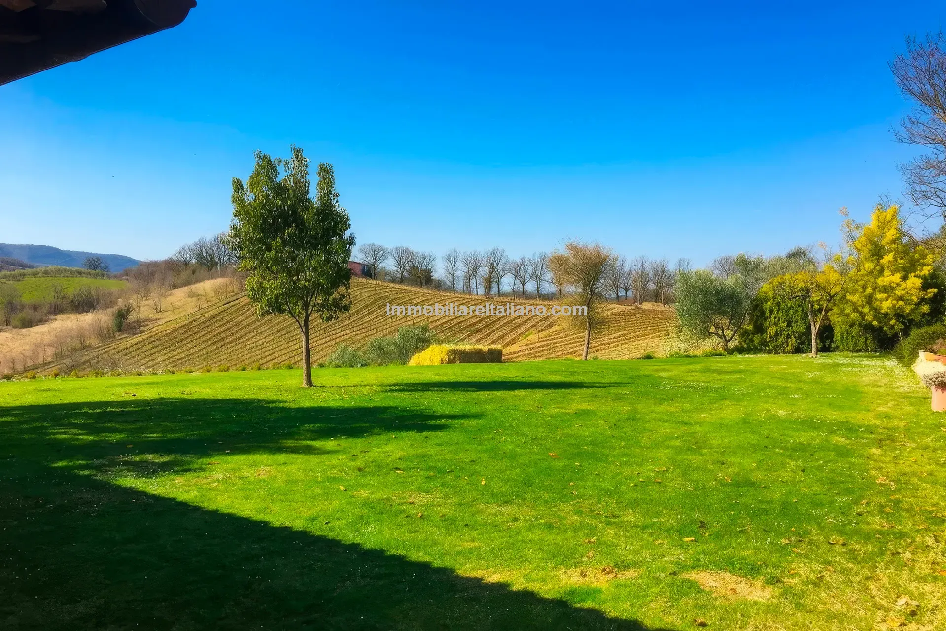 Expansive Farmhouse with Vineyard in Lazio's Scenic Countryside - View image 18 of 42