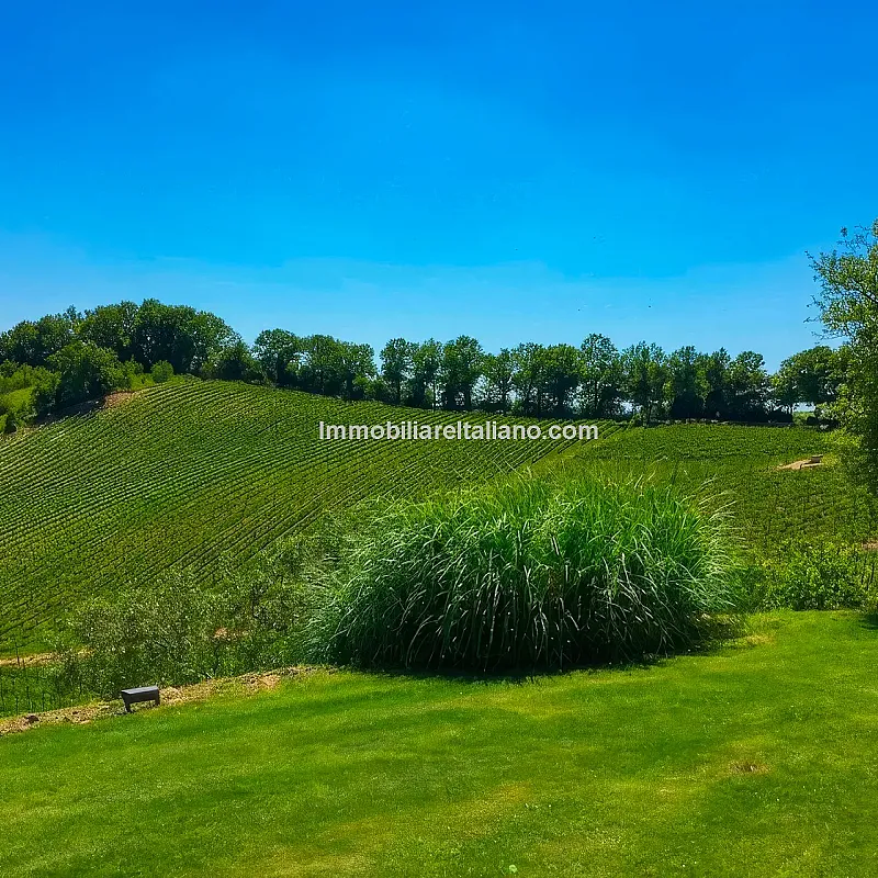 View image 19